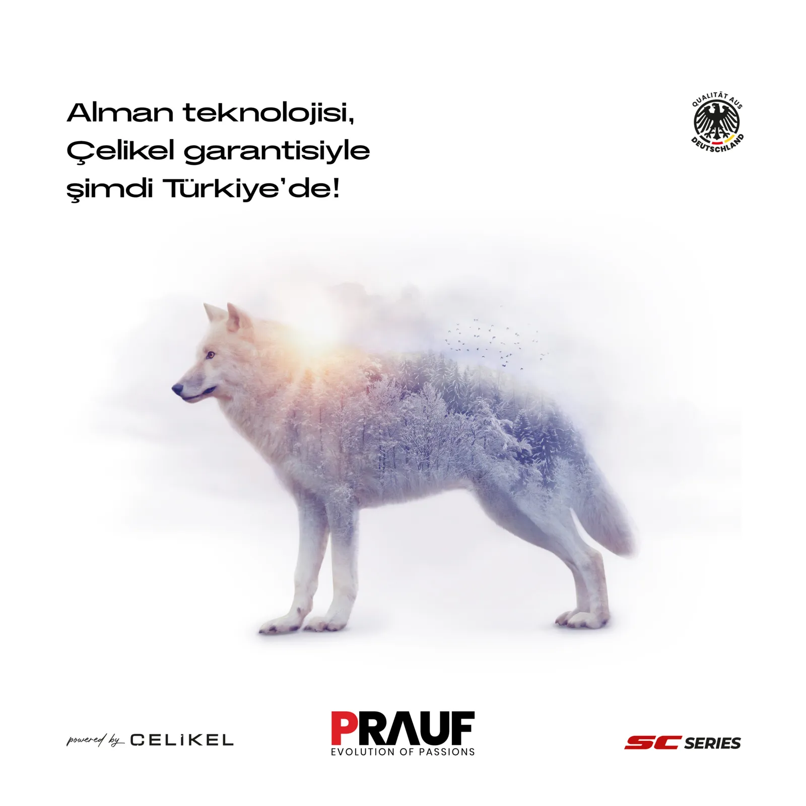 Prauf projesi – görsel 5