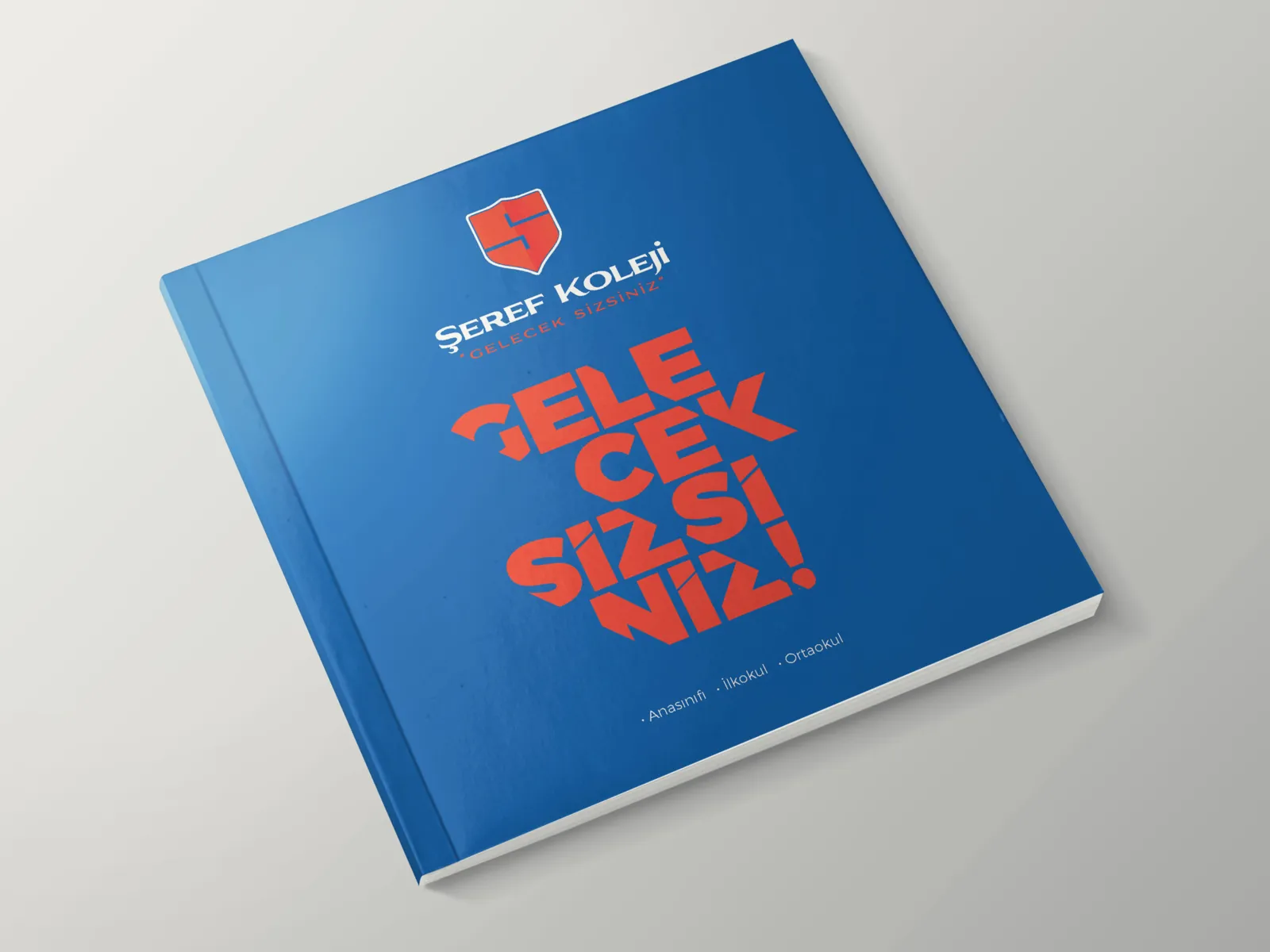 Şeref Koleji projesi – görsel 2