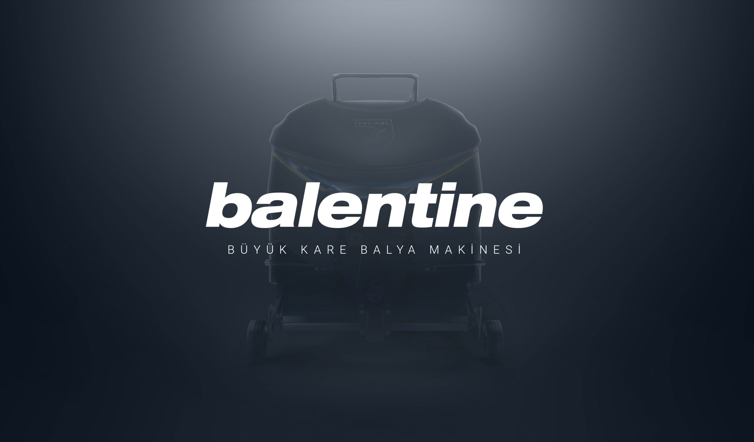 BALENTINE-ACILIS-scaled