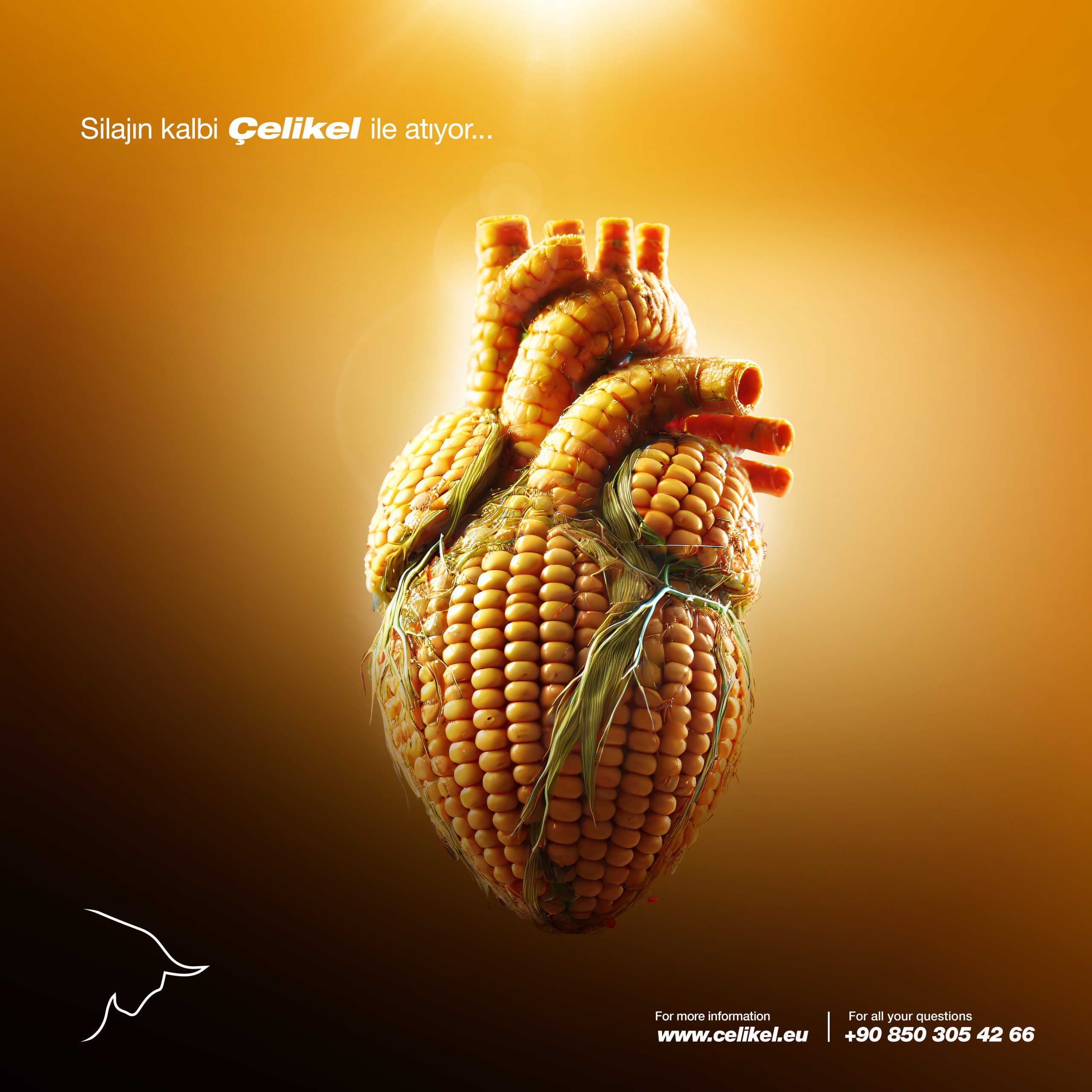 SILAJIN-KALBI-scaled