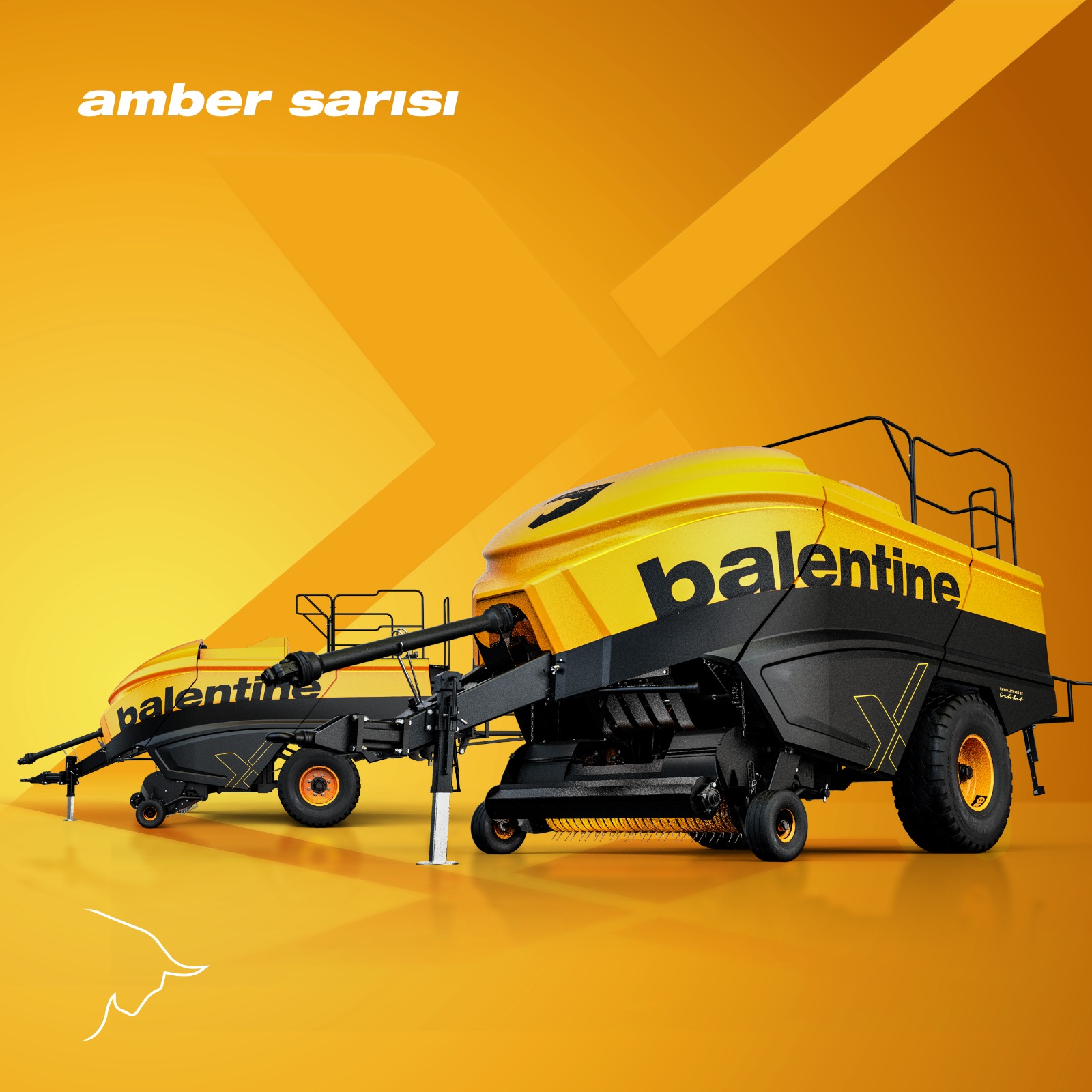 WhatsApp-Image-2025-02-07-at-10.33.43-3